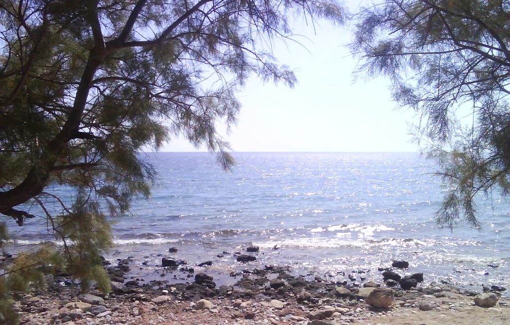 “… θεόρατη ώστε να αφιερωθεί στη δύναμη και στην ομορφιά”